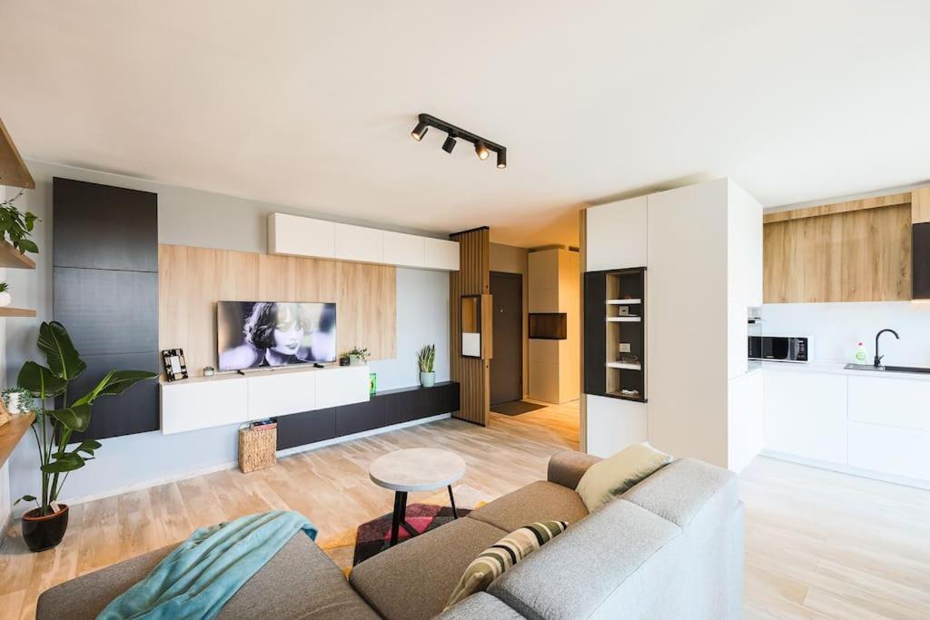 Luxury Apt. Near River & Parking ティミショアラ エクステリア 写真