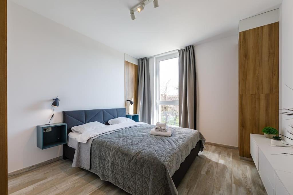 Luxury Apt. Near River & Parking ティミショアラ エクステリア 写真