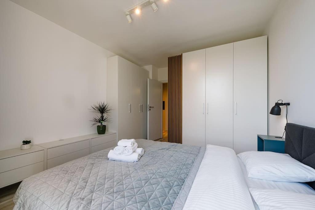 Luxury Apt. Near River & Parking ティミショアラ エクステリア 写真