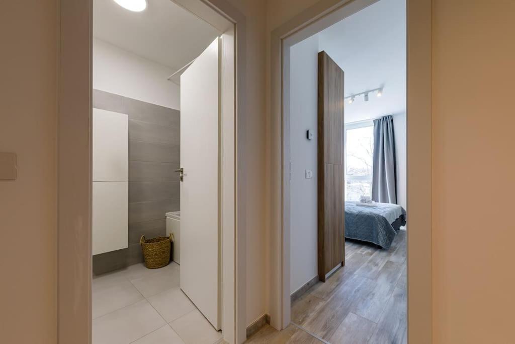Luxury Apt. Near River & Parking ティミショアラ エクステリア 写真