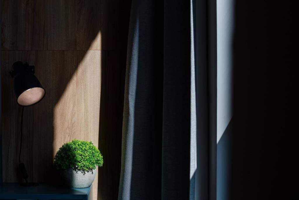 Luxury Apt. Near River & Parking ティミショアラ エクステリア 写真
